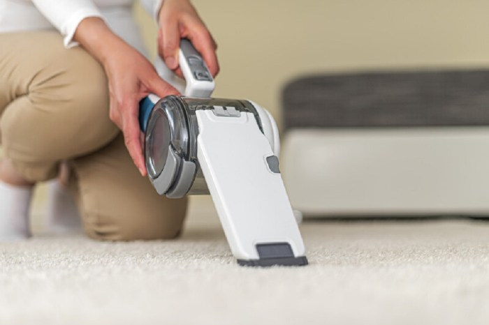 Portable carpet cleaners