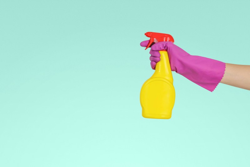 Young Woman Cleaning Free Stock Photo - Public Domain Pictures Young Woman Cleaning Free Stock Photo - Public Domain Pictures