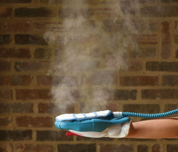 Handheld Steam Cleaner, Multi-Surface Steam Cleaner WHL-618 Series – Phueut