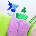 Cleaning Woman Free Stock Photo - Public Domain Pictures