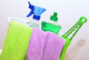 Cleaning Woman Free Stock Photo - Public Domain Pictures