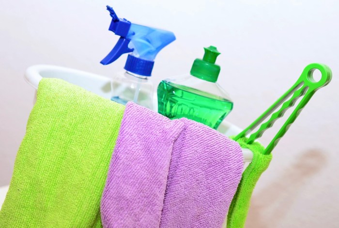Cleaning Woman Free Stock Photo - Public Domain Pictures